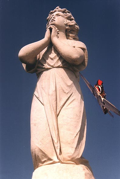 Praise the lord and pass the ammunition